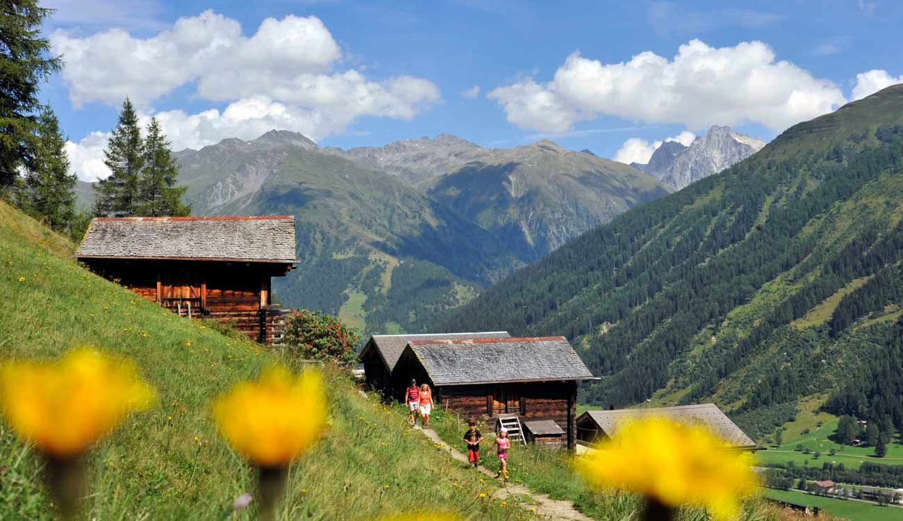 Alpine-Luxury-HIking-Swisskisafari