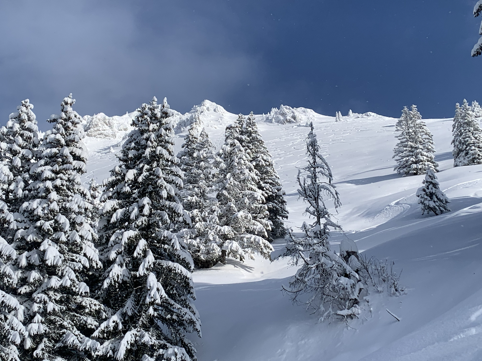 Snow-Condition-in-the-Alps-Dec-2021-Swisskisafari