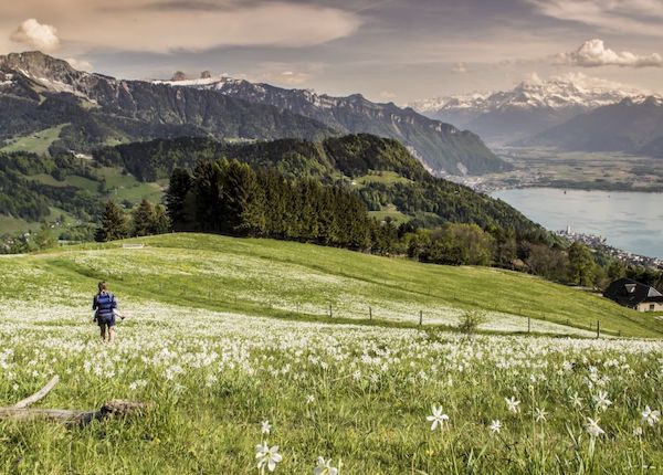 Swiss-Alps-Hiking-and - Wellness
