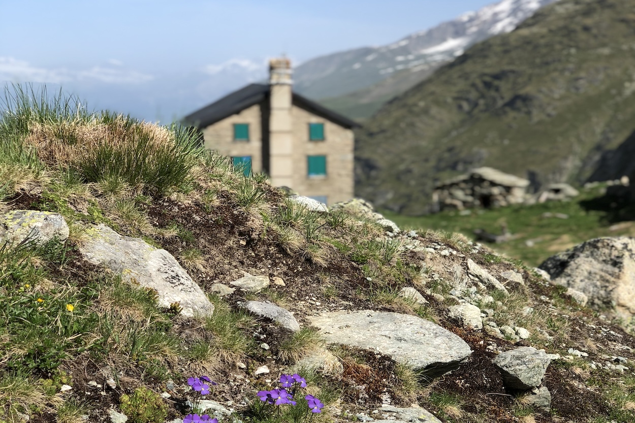 Private- Luxury-Hiking-in-the-Alp-Swisskisafari