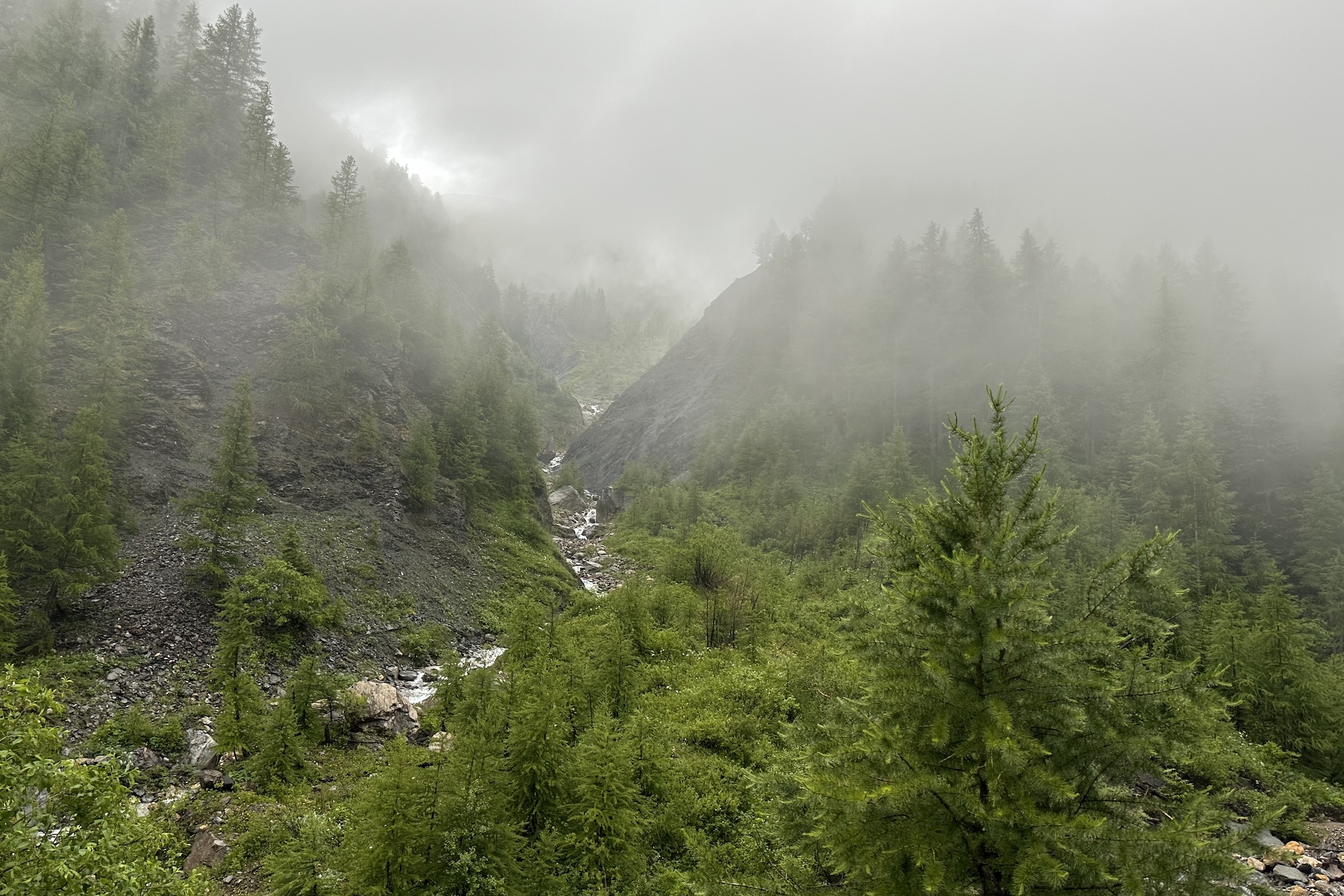 Tailor made private trips versus AI