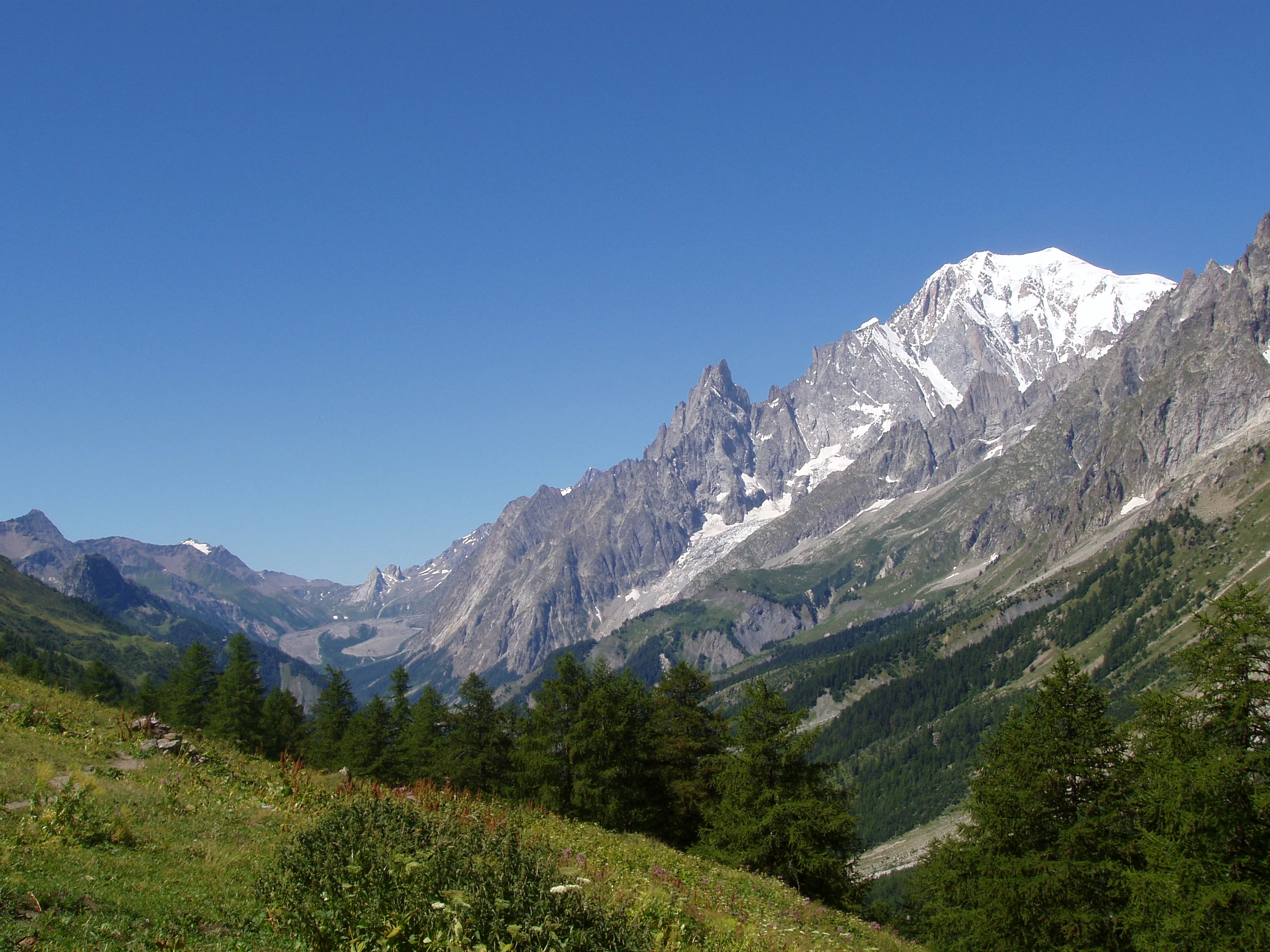 Privately guided summer hiking in the Alps