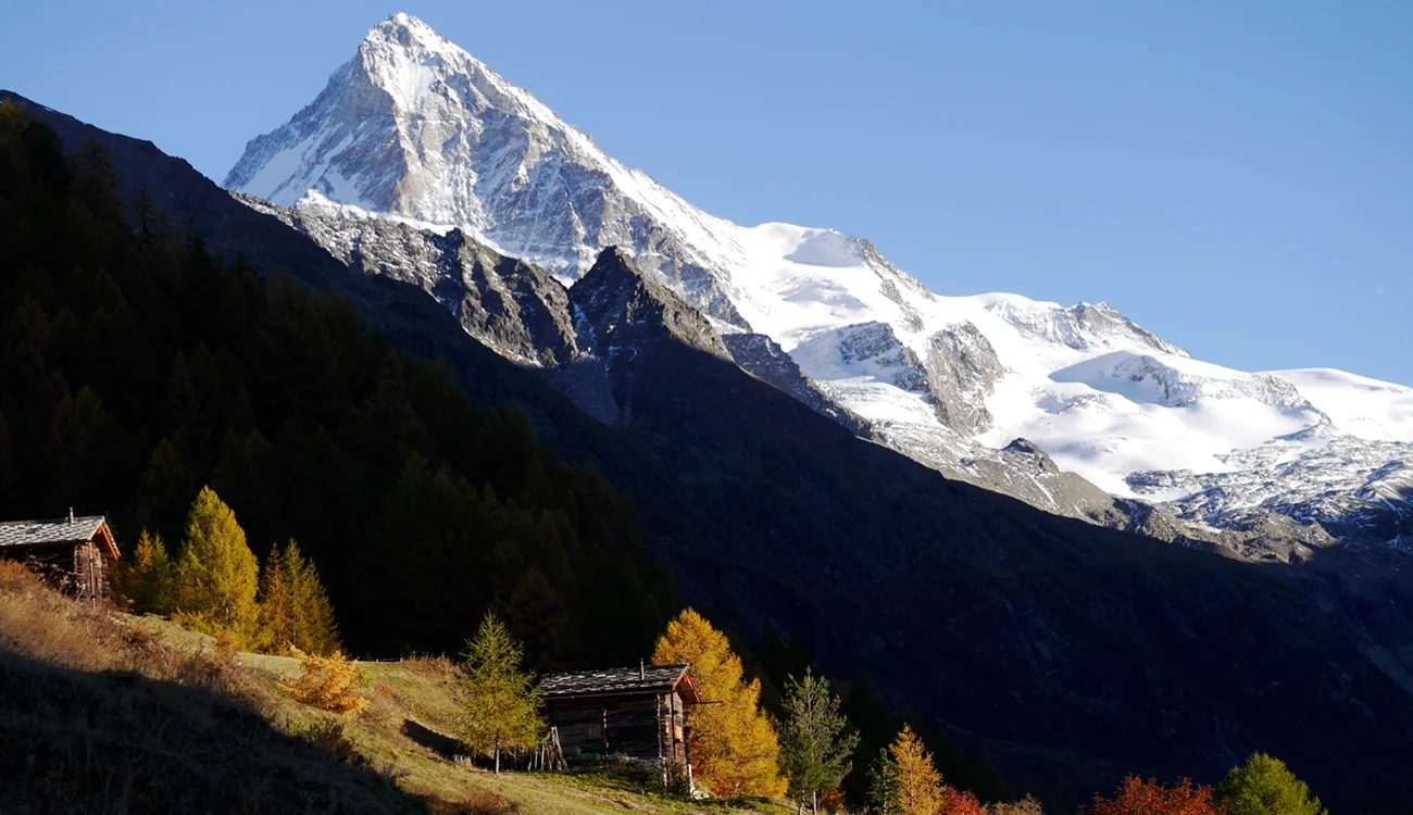 luxury-hiking-safari-wildflower-meadows-glacier-alps-2-1300x750 Luxury hiking safari through wildflower meadows and glacier terrain in the Swiss Italian and French Alps