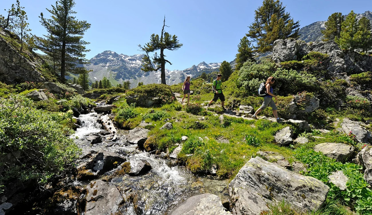 A group of hikers make their way through a lush green rocky Alpine meadow on a bright mountain day