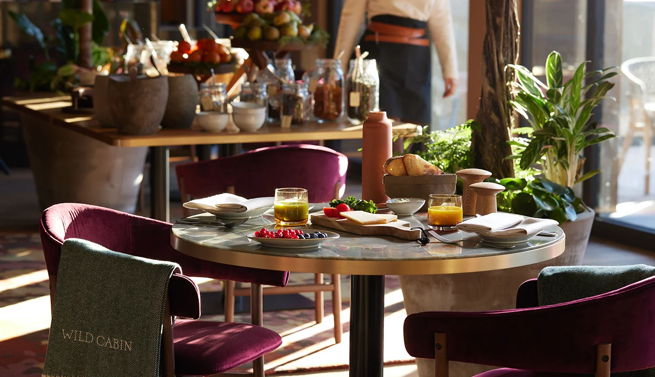breakfast-table-in-the-sun-alps